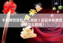 手机微信密码怎么找回（忘记手机微信密码怎么找回）