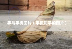 手与手机图片（手机和手的图片）