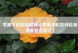 苹果手机如何检测（苹果手机如何检测屏幕是否损坏）