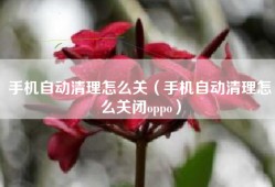 手机自动清理怎么关（手机自动清理怎么关闭oppo）