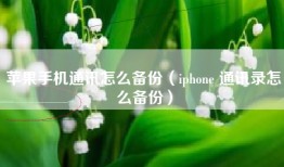 苹果手机通讯怎么备份（iphone 通讯录怎么备份）