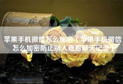 苹果手机微信怎么加密（苹果手机微信怎么加密防止别人查看聊天记录）