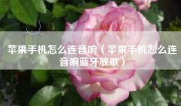 苹果手机怎么连音响（苹果手机怎么连音响蓝牙放歌）