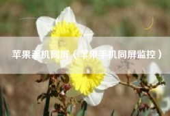 苹果手机同屏（苹果手机同屏监控）