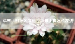 苹果手机怎么发热（苹果手机怎么发热点）