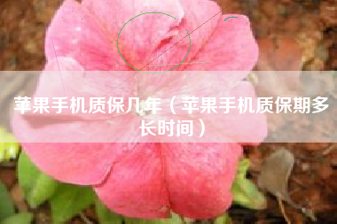 苹果手机质保几年（苹果手机质保期多长时间）