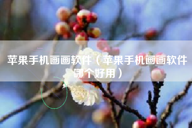 苹果手机画画软件（苹果手机画画软件哪个好用）